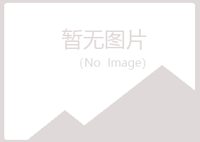 青海夏岚会计有限公司